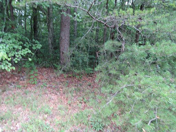 3rd image of 27 Fern Pl