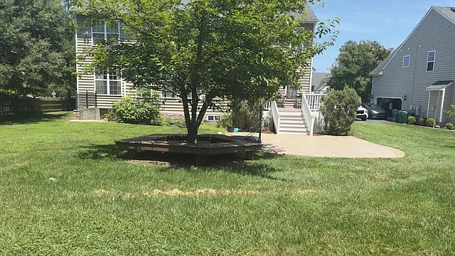 12000 Grey Oaks Park Rd — Photo 11
