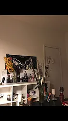 Rented by Nolita Group