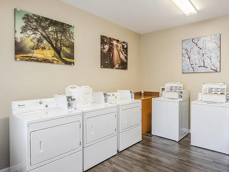 Forest View Apartments — Photo 7