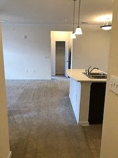 Belmont at Tryon Apartments — Photo 165