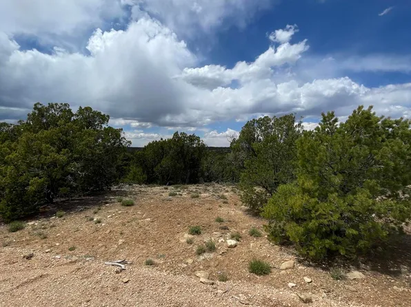 9 County Road 3045, Concho, AZ 85924