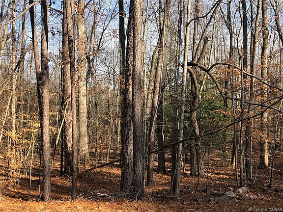 2nd image of 0 Burkes Mill Dr