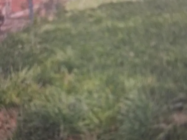 9209 S Harper Ave, Chicago, IL 60619