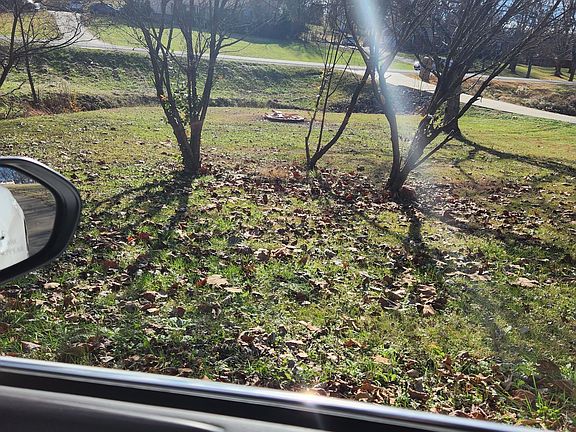 This is your fire pit for your next weenie roast or burning debris from your yard.