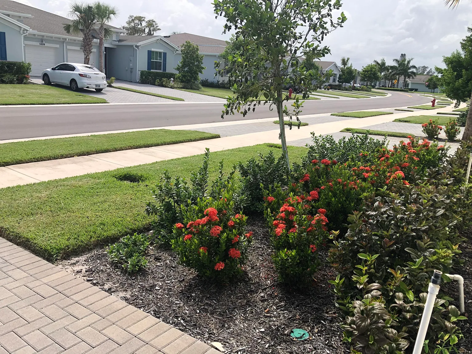2 bed, 2.0 bath, 1319 sqft, $3,200 — Photo 3