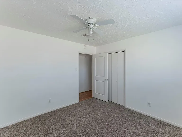12006 Pine Pass Ct — Photo 28