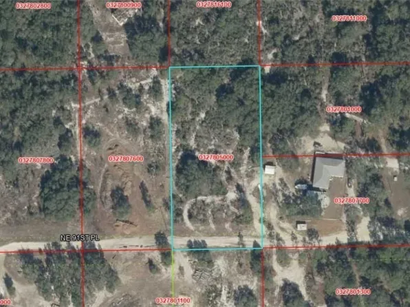 NE 91st Pl, Bronson, FL 32621