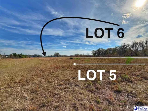 LOT 5 Mallory Beach Rd, Latta, SC 29565