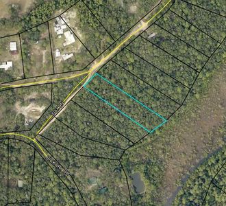 Fox Ln, Holt, FL, 32564