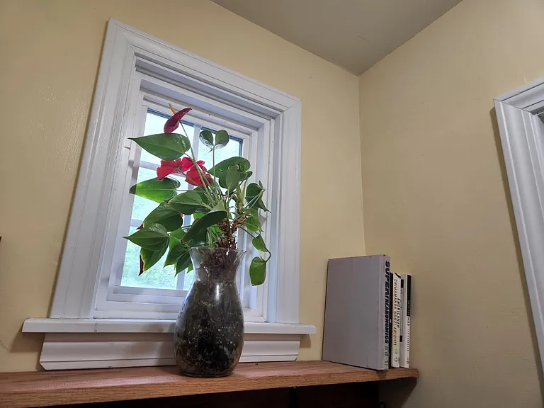 44 Bloomfield Pl — Photo 5