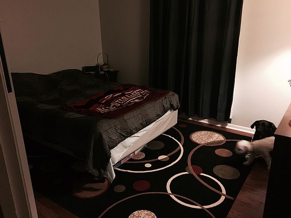 5th image of 4049 Woodchase Dr