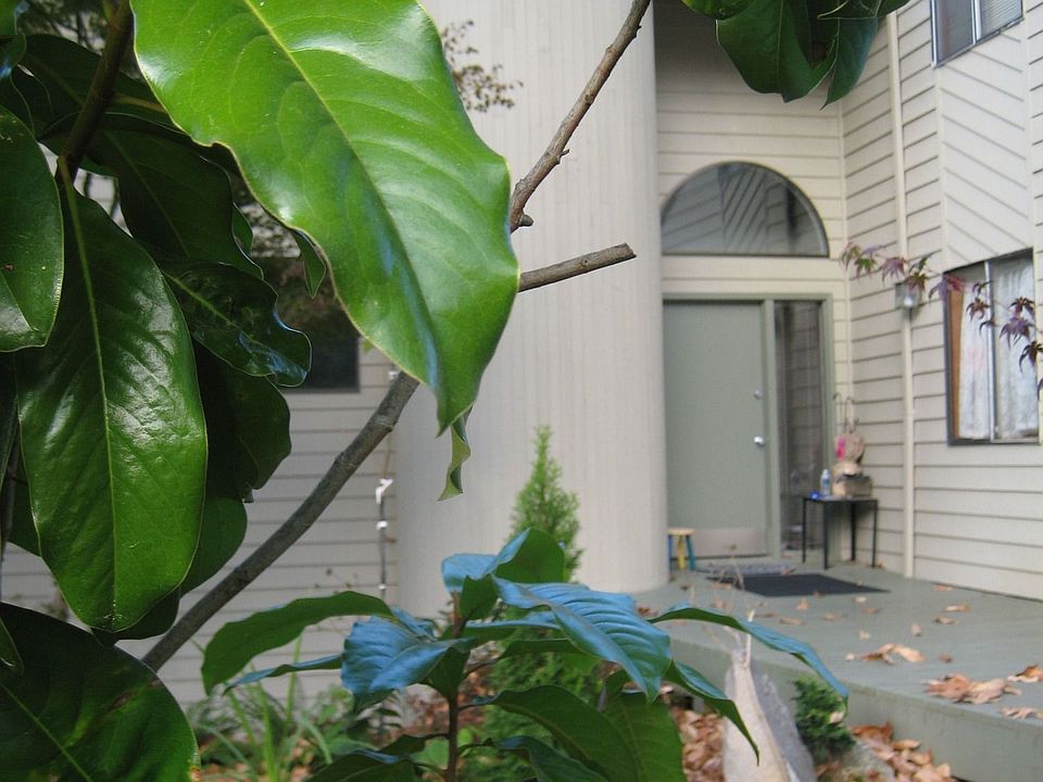 Front entrance