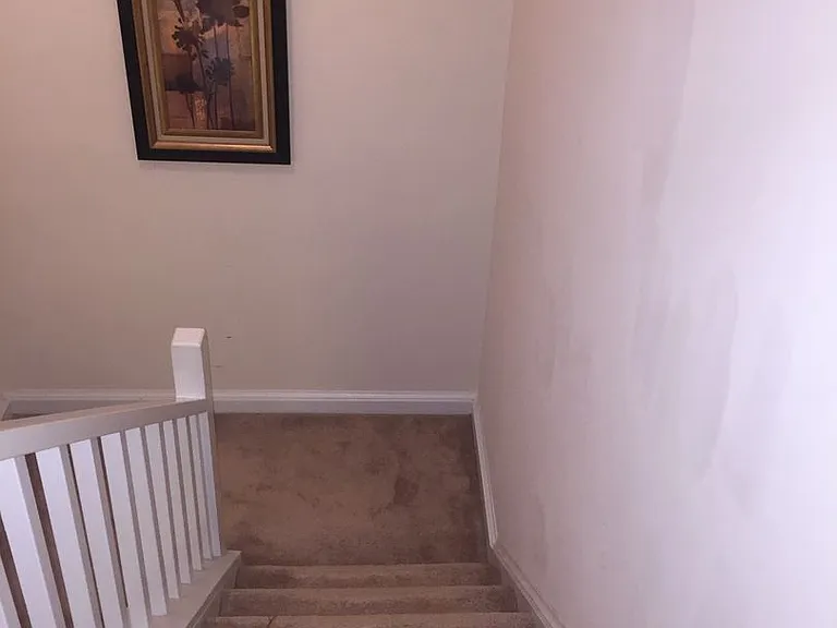 236 Brookberry Cir — Photo 11