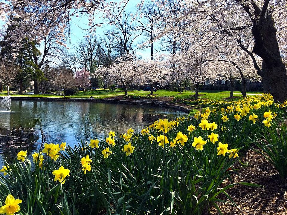 "The Lakes" - a focal point of this beautiful neighborhood