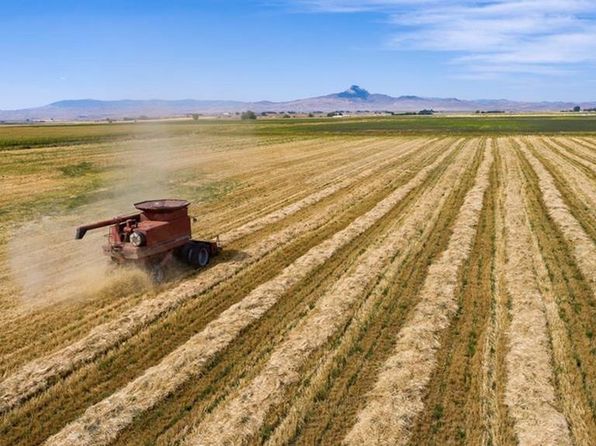 Heart Mountain Powell Real Estate 5 Homes For Sale Zillow