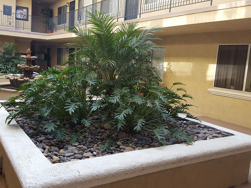 Green court yard with relaxing fountain