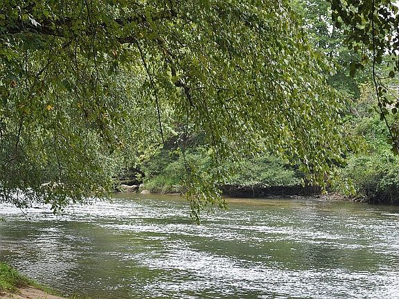 3rd image of 791 River Rd
