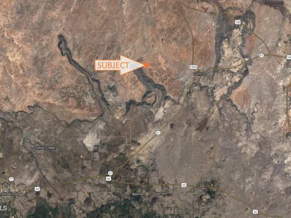 20 COUNTY ROAD N8445 -- #-, Concho, AZ 85924
