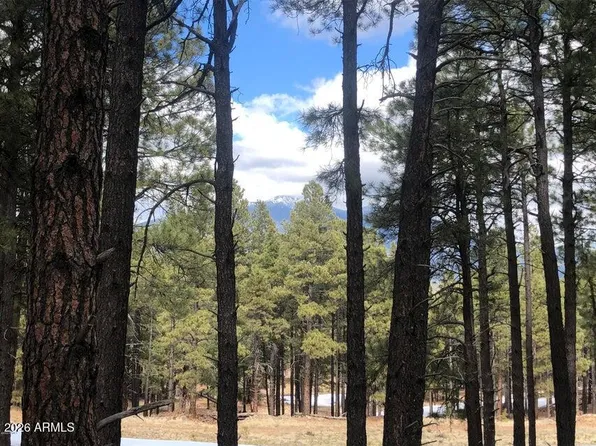 9410 Coyote Pass #-, Flagstaff, AZ 86001