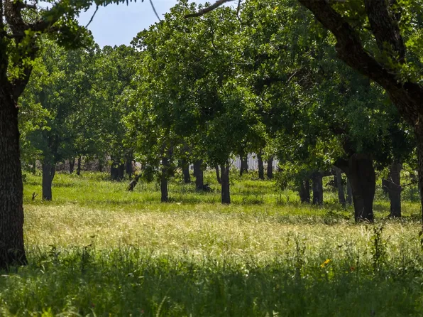 County Road 126, Gordon, TX 76453