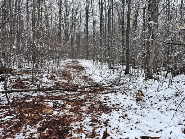 8751 Nighthawk Trl, Gaylord, MI 49735