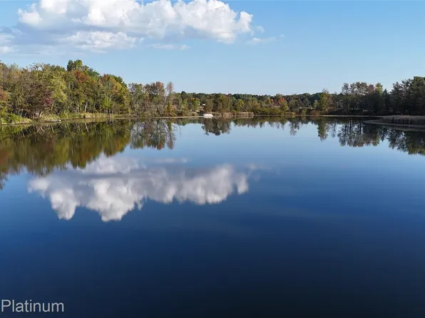 0 Chapman Rd, Stockbridge, MI 49285