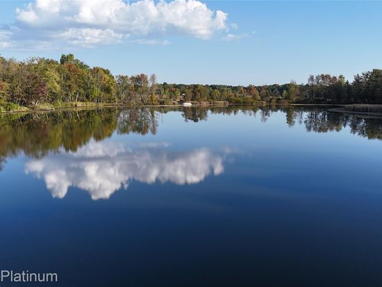 0 Chapman Rd, Stockbridge, MI 49285