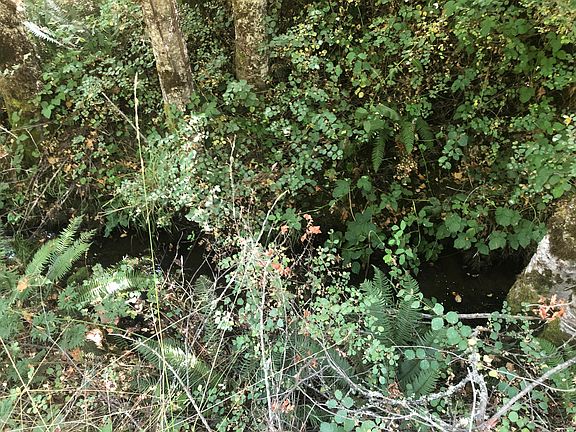 4th image of 173 Arrowhead Dr