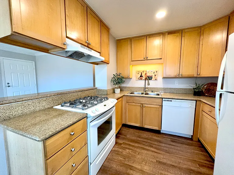 101 S Spruce St #232 — Photo 5