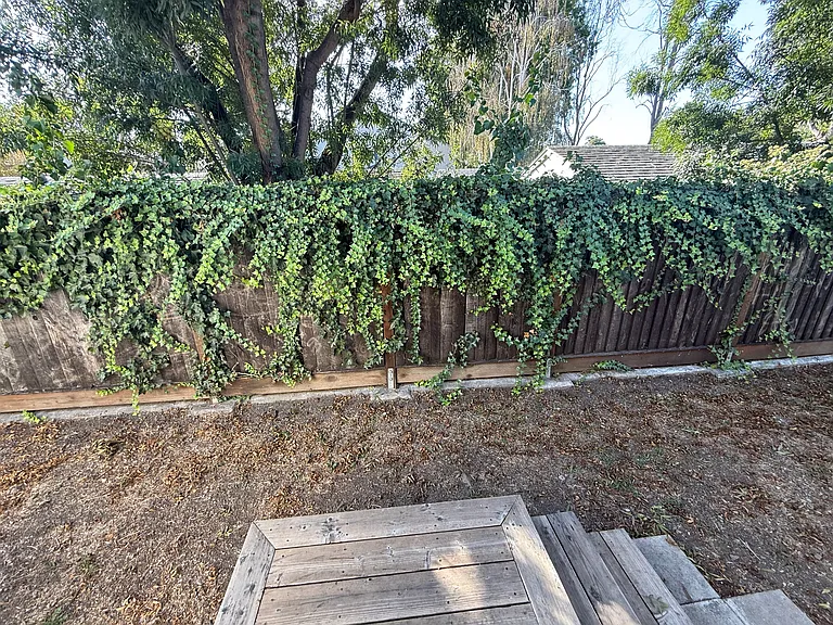 step out to the private garden from kitchen.