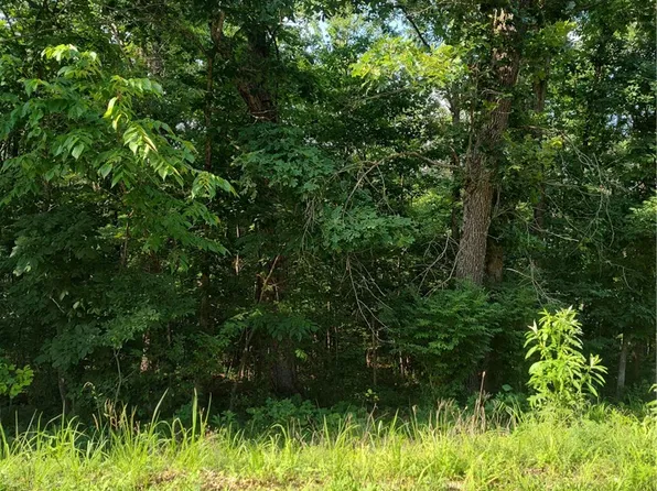 Allington Dr #2, Bella Vista, AR 72715