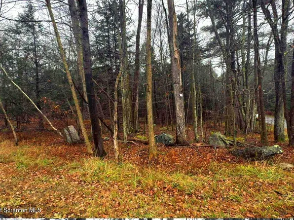 S Lehigh River Dr, Gouldsboro, PA 18424