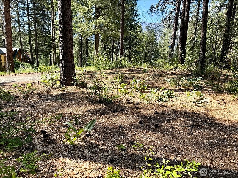 2nd image of 11 Highland Meadows