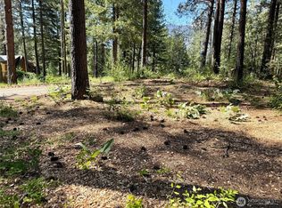 Edelweiss Plat 4, Winthrop, WA 98862