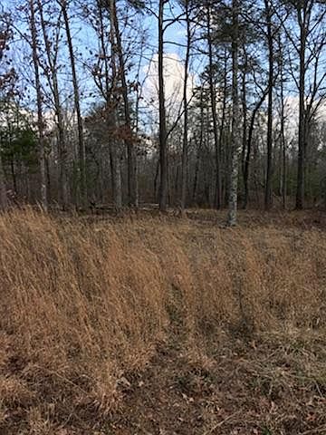 2nd image of River Chase Trl