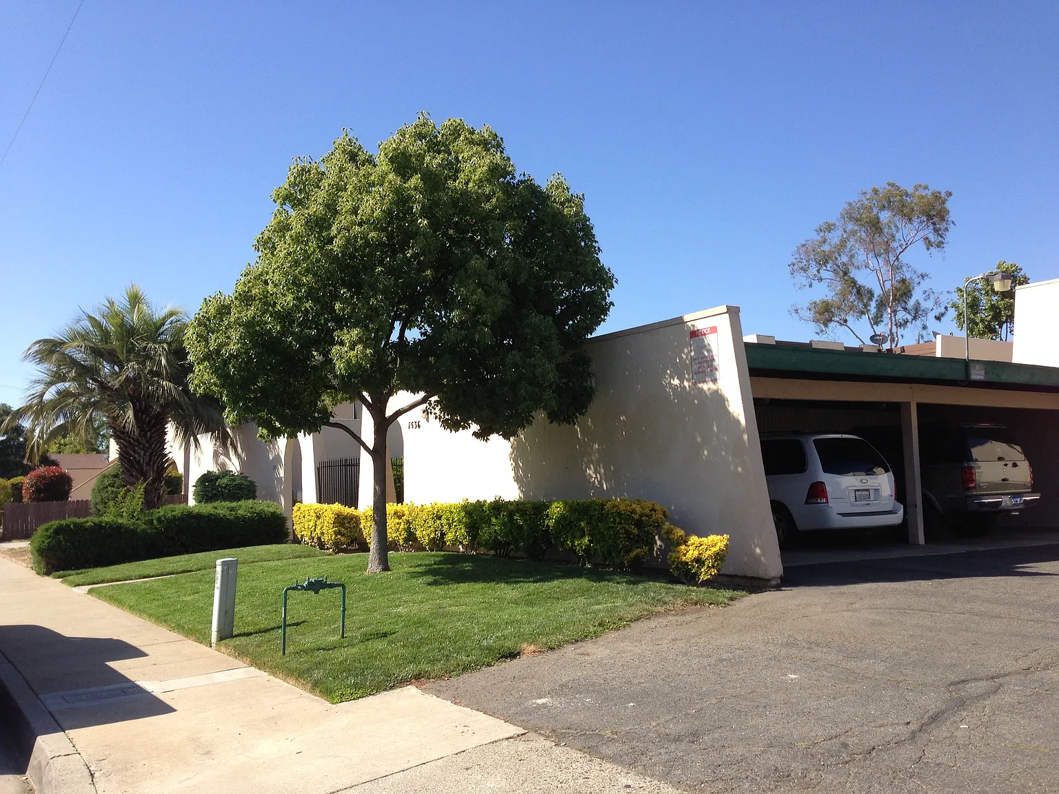 2 bed, 1000 sqft, $2,295 — Photo 2