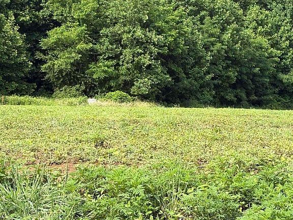 2nd image of 187 Tennessee #32