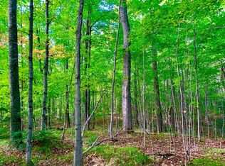 Tamarack Rd, Summit Lake, WI 54485