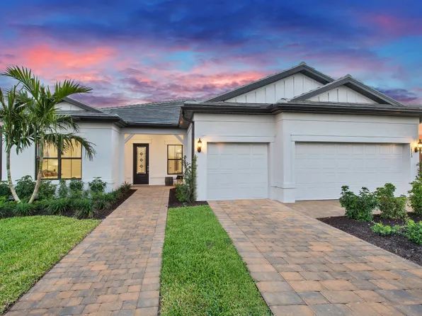 Stellar Plan, Terreno