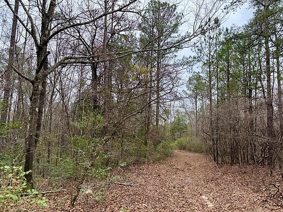 5th image of Dry Creek Rd