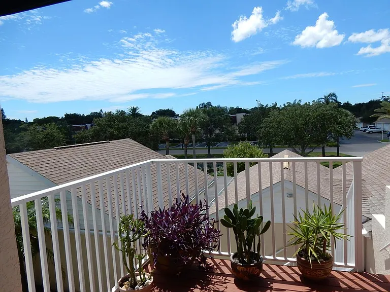Front Porch View