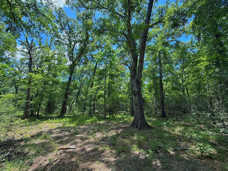 1st image of County Road 296