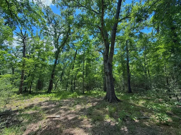 County Road 296, Oakwood, TX 75855
