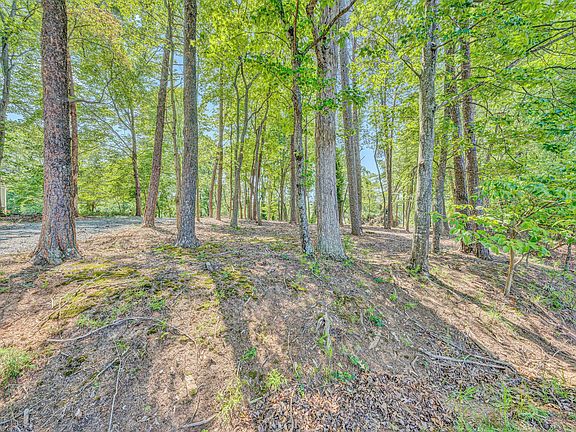 5th image of 3 Sigh N Pine Rd