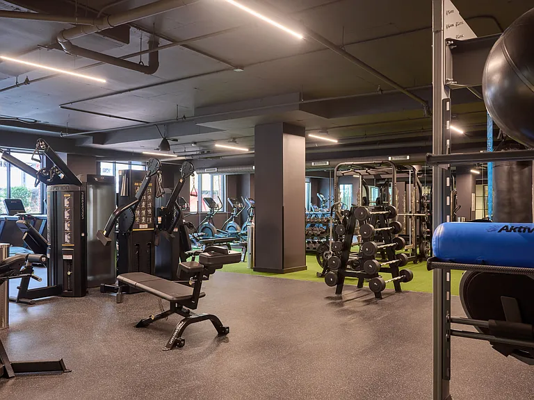 Fitness center featuring an expansive selection of free weights, benches, racks, cardio machines and resistance bands