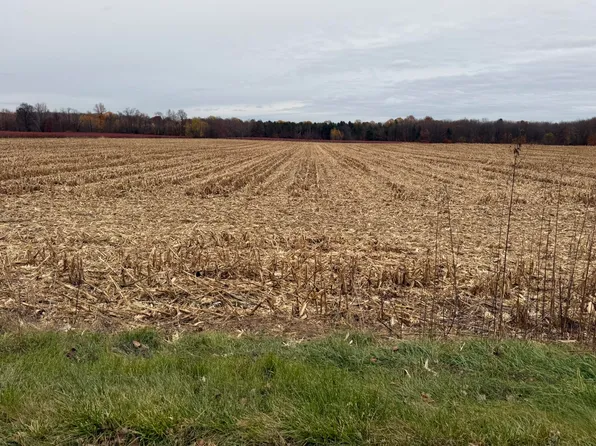 Vl 2ac County Road Division #687-1, Bangor, MI 49013