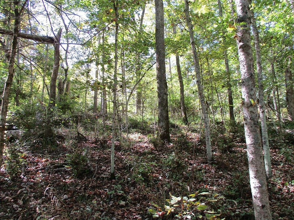 1187 Wildcat Rd, Lawrenceburg, KY 40342 Zillow