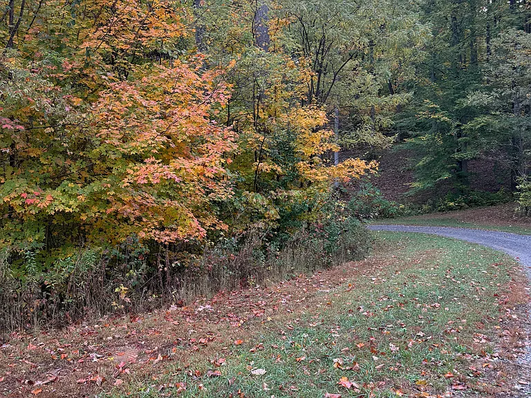 Old Thomas Byrd Rd — Photo 12