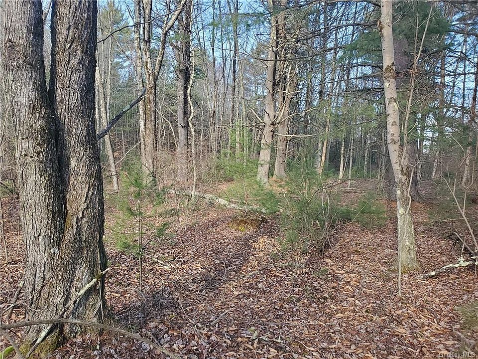 2nd image of Camp Rd